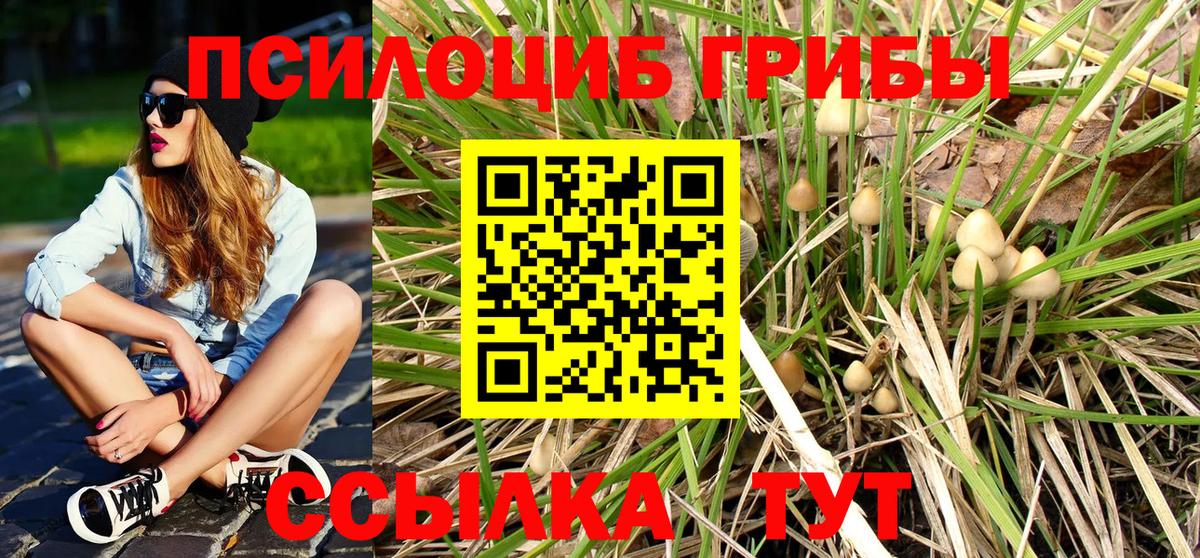 Псилоцибиновые грибы Psilocybe  Вход с VPN  Тула 